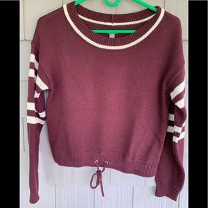 Aerie Crop Sweater